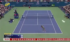 九州娱乐-捷克大胜奥地利，晋级八强展现实力的简单介绍