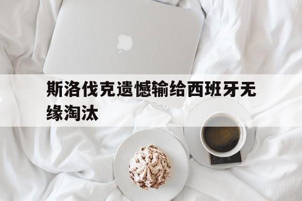 斯洛伐克遗憾输给西班牙无缘淘汰的球员 斯洛伐克遗憾输给西班牙无缘淘汰的球员